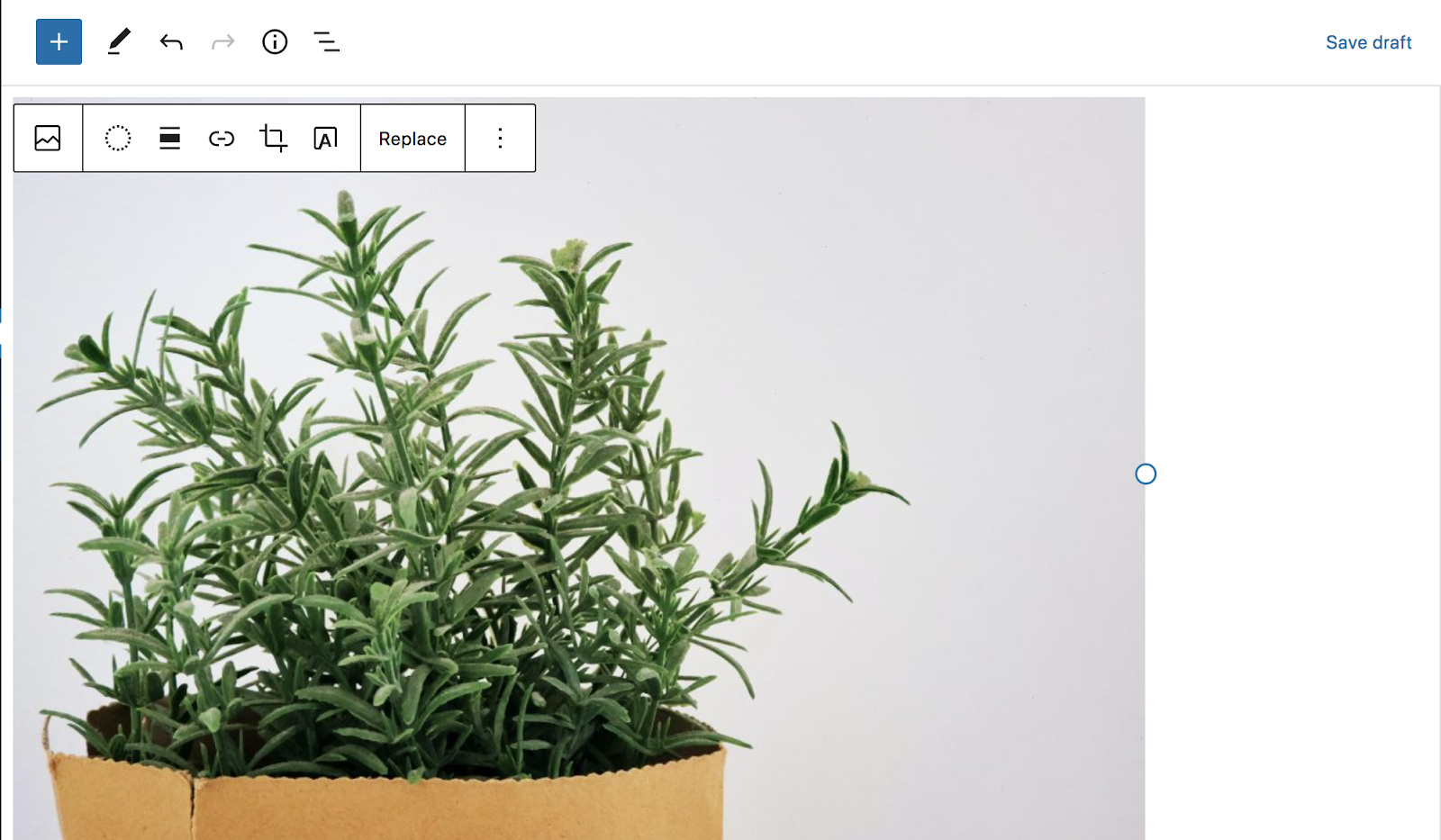 图像块的可用选项